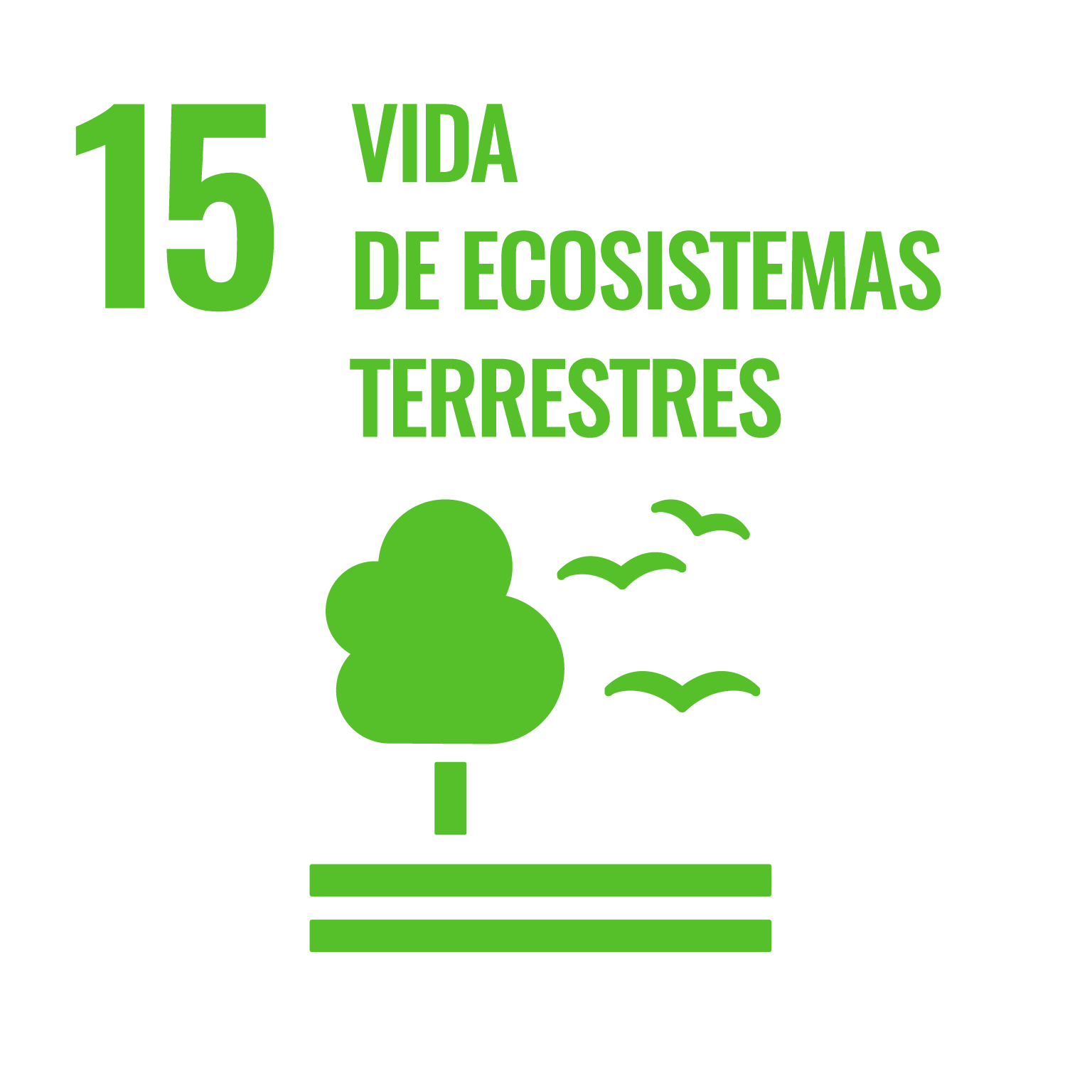 S_SDG_Icons_Inverted_Transparent_WEB-15.png